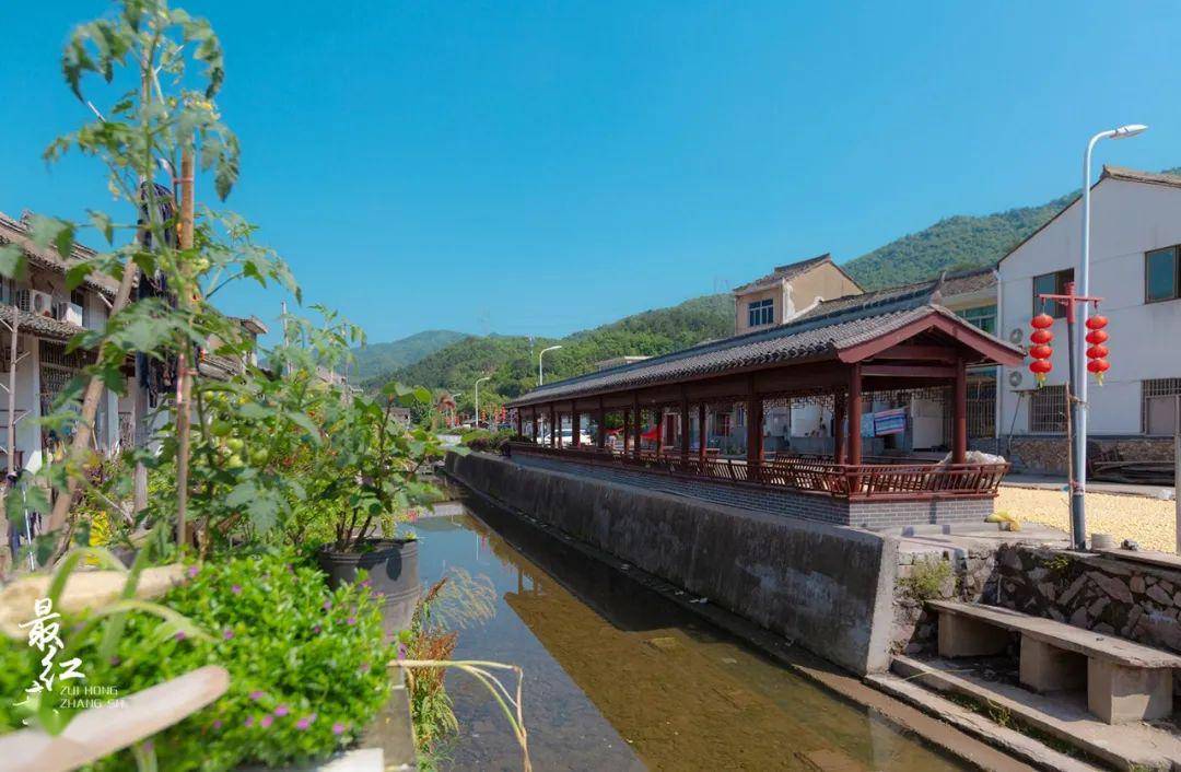 章水· 郑家村 | 乡愁萦绕,这里是与你心相依的地方