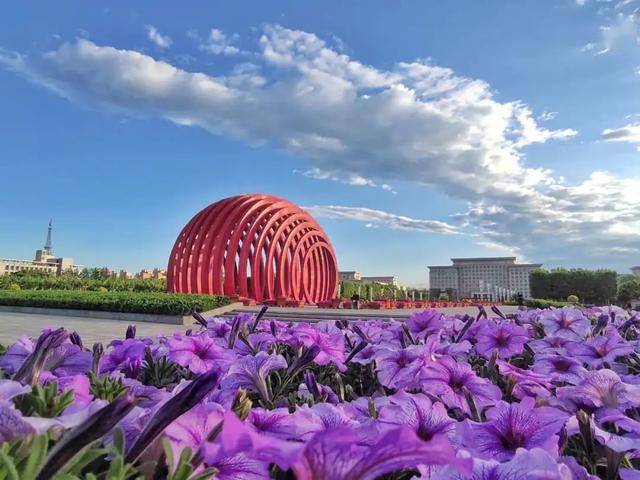 今天武清的"透心蓝",又美了美了……_手机搜狐网