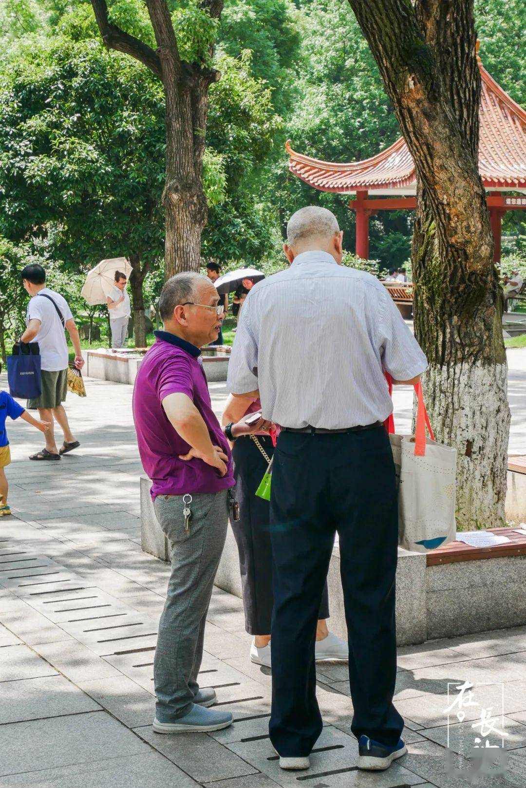 湖南烈士公园相亲角图片