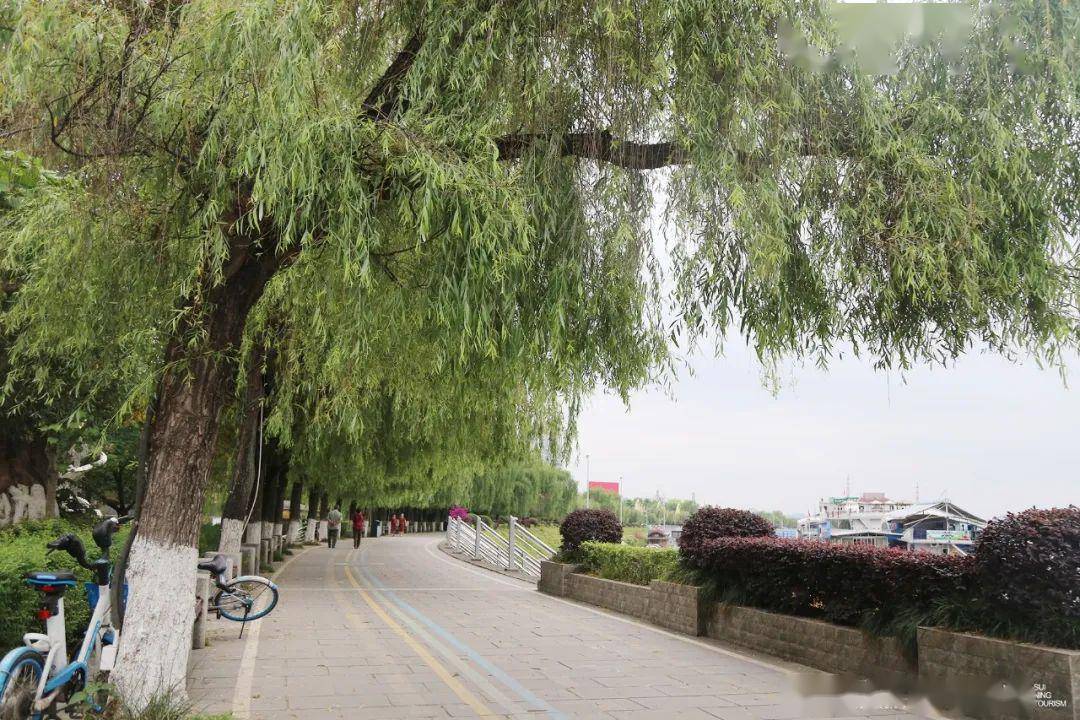 早晨九点遂宁滨江路真实一幕,让很多人红了眼……_手机搜狐网