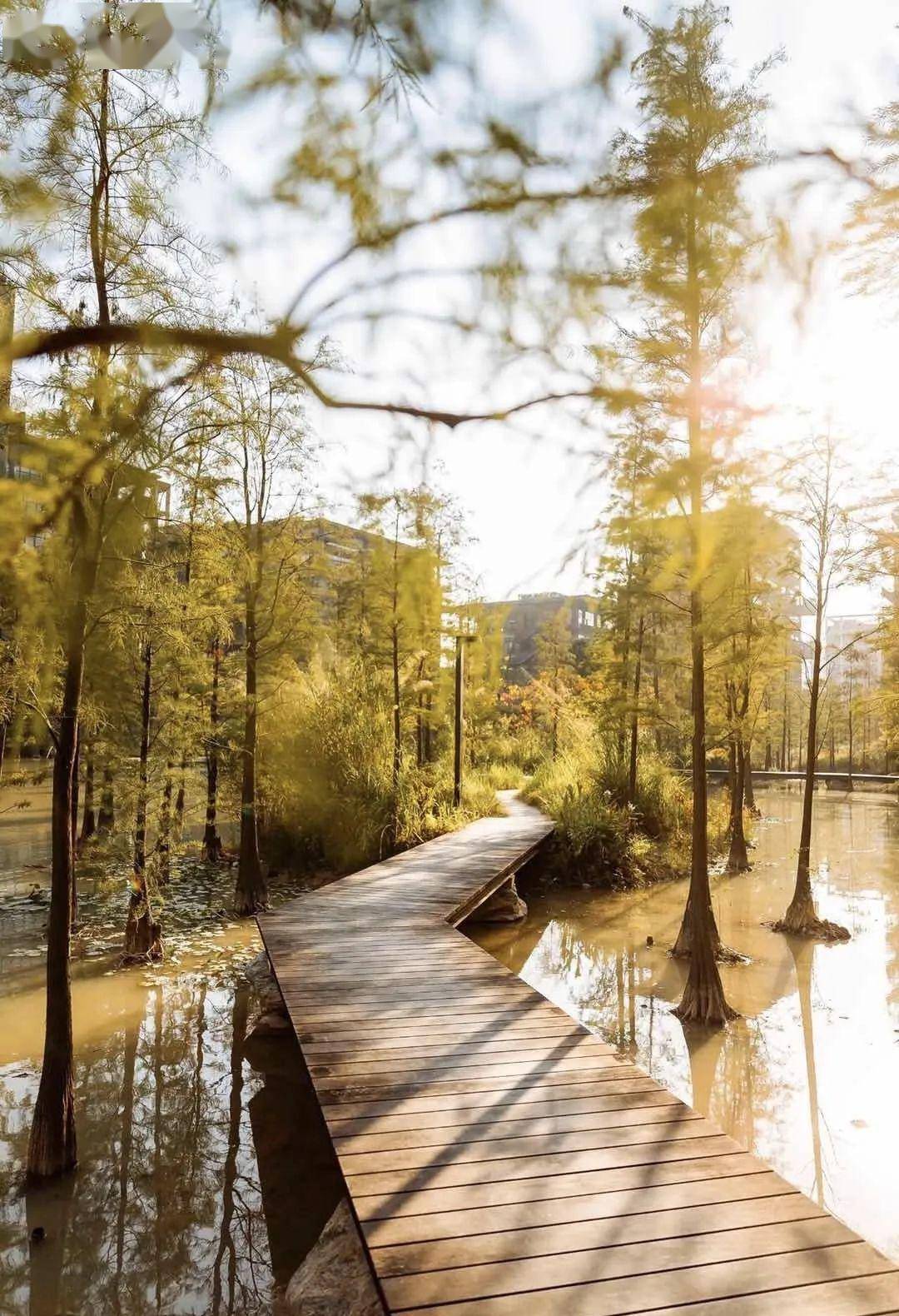 守护就是最大的心安梧桐岛战疫的那些事儿
