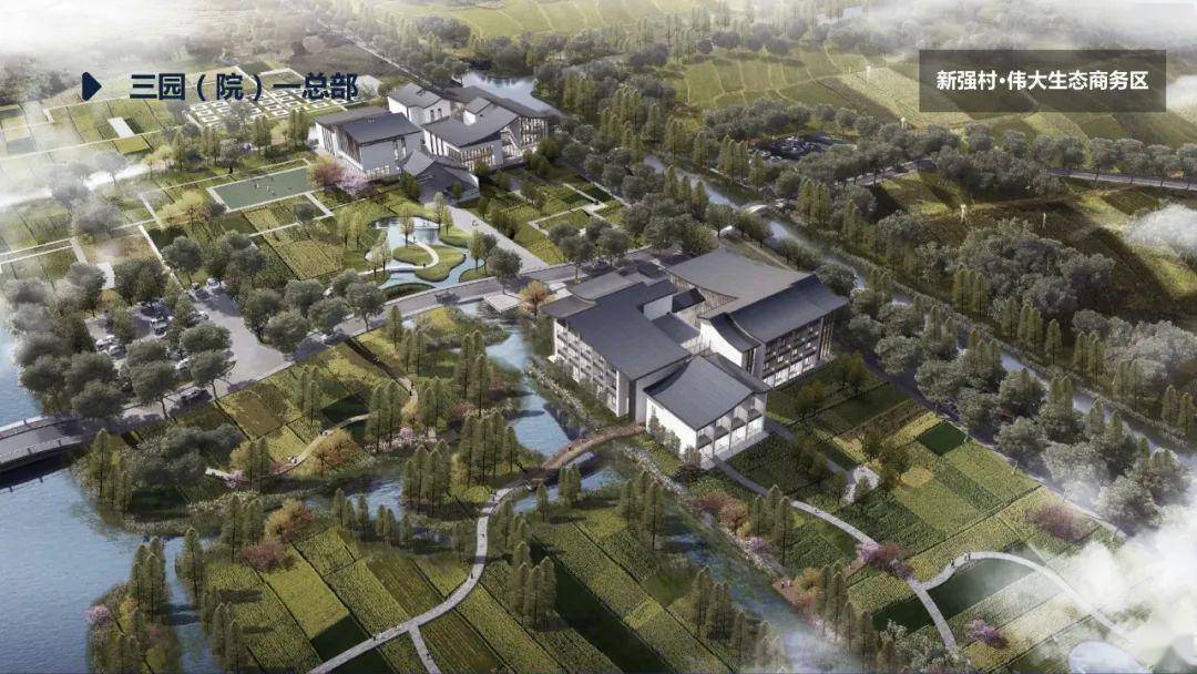 东方美谷小镇——金汇镇投资环境简介作城市推介并讲话镇党委书记郑