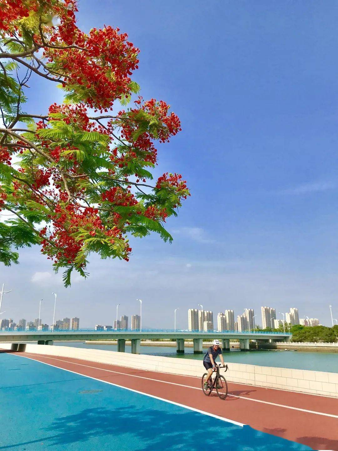 业, 厦门日报社新媒体中心出品 记者:张琤 通讯员:邱光前 摄影:陈嘉新