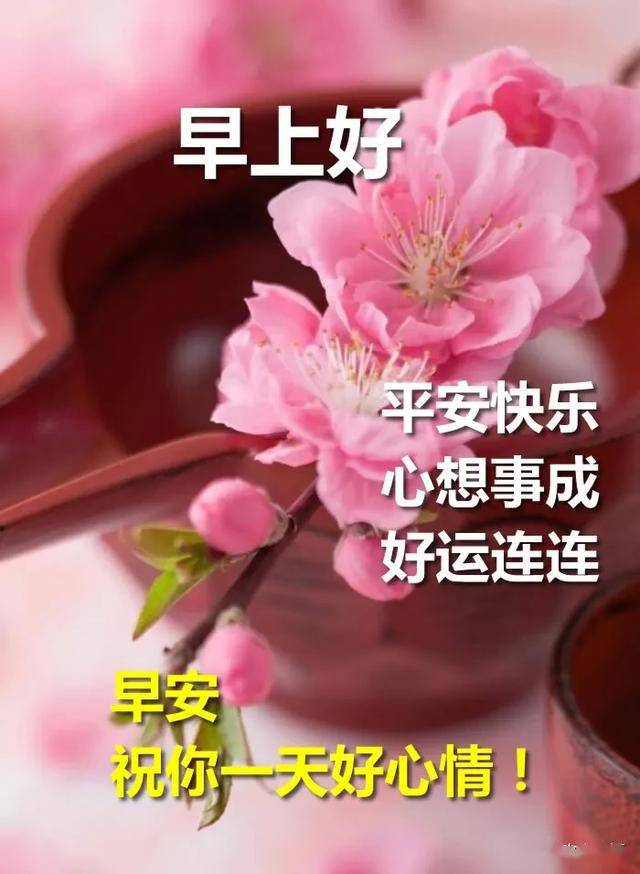最好看的早安动态图 新早上好漂亮图片大全