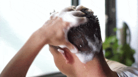 480_270gif 动态图 动图