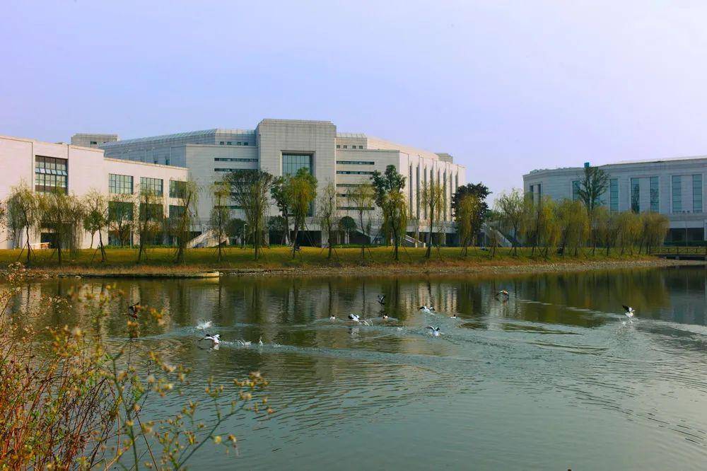 鹅心飞翔电子科大校宠不止鹅一个