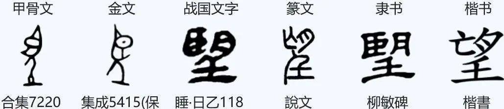 甲骨文"望"字有二种形体,一种形体像人举目(后演变为"臣")之形,一种