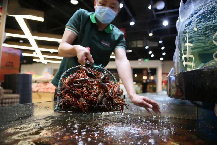 大兴大悦春风里12月25日如期而至系列首作将梦里春风吹入现实