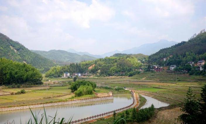 走进国家森林乡村——莲塘镇桐源村,一起去深呼吸_浦城