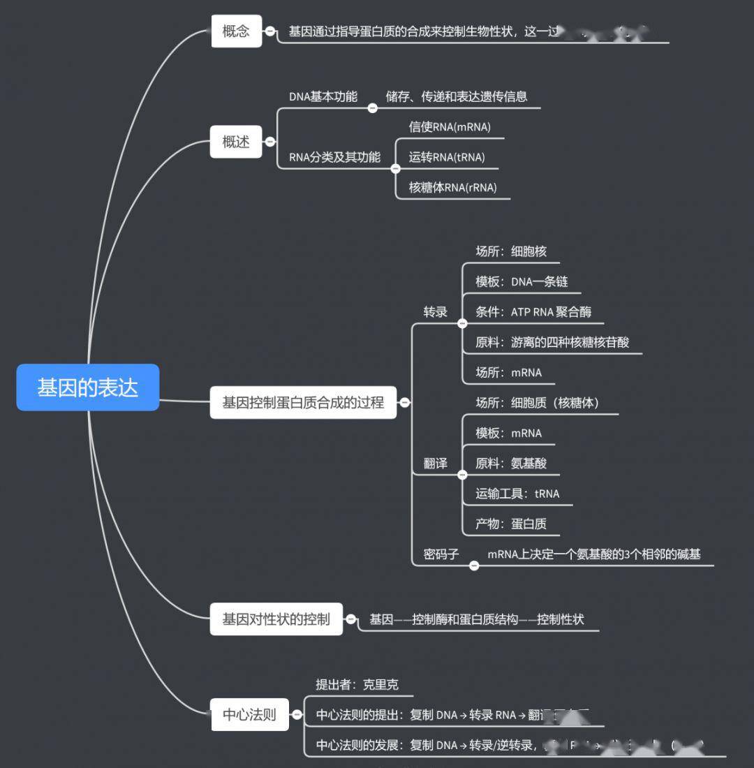 基因表达调控思维导图图片