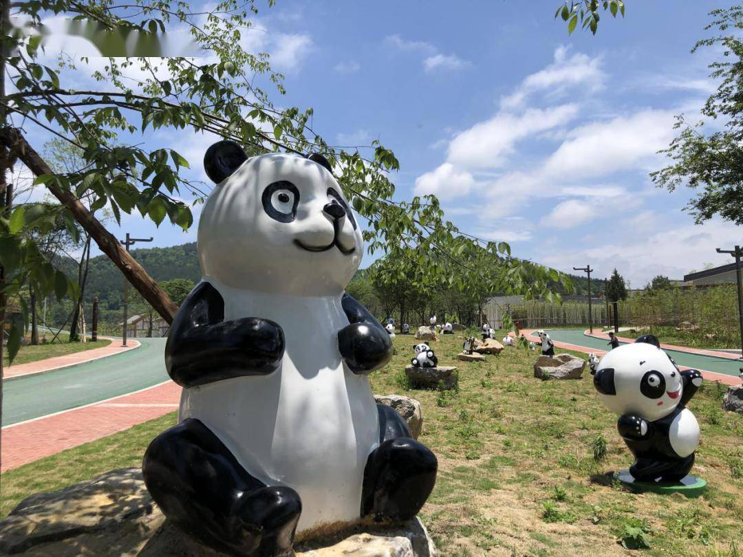 国宝大熊猫今日安家湘西!期待与湘西公众见面哦!