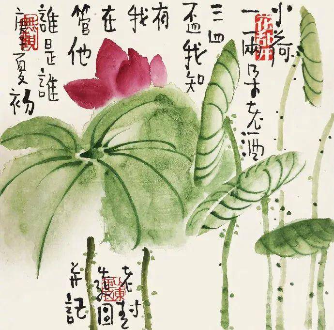 老树画画:夏风渐渐起,小荷又新发,我饮一壶酒,她开一朵花_手机搜狐网