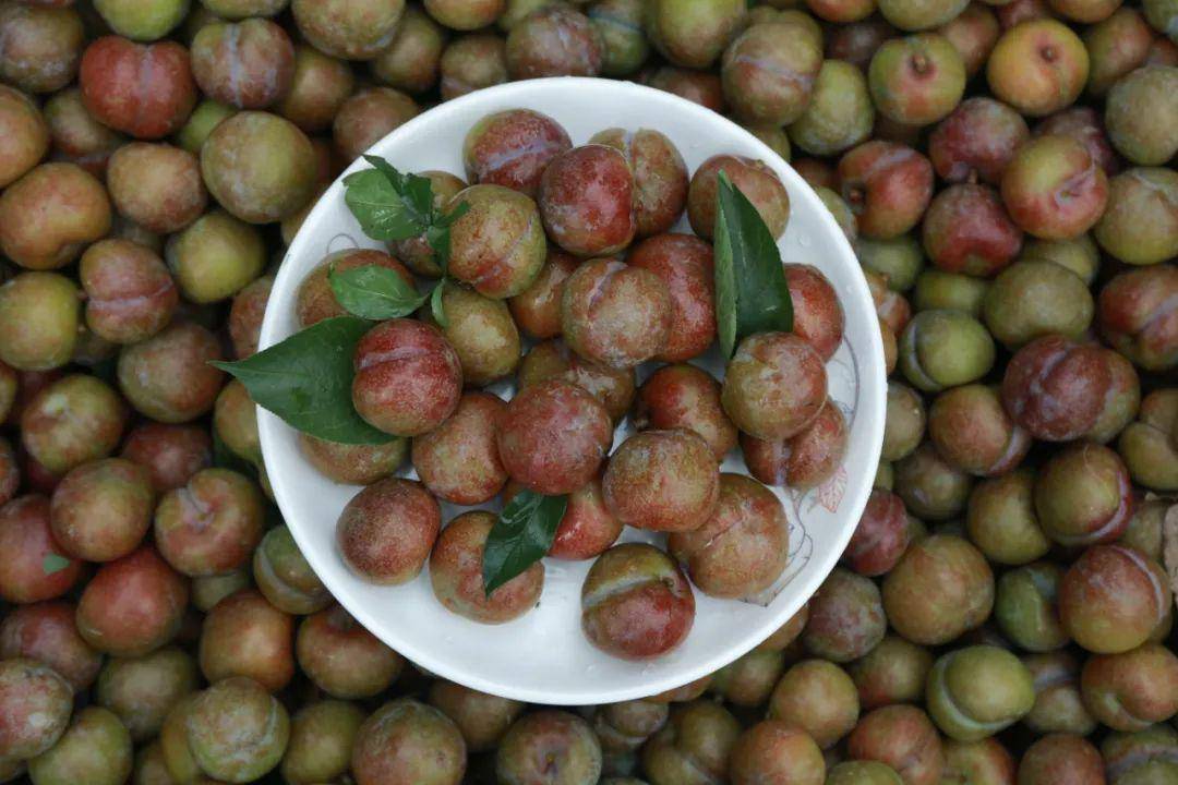 县长直播带货之长泰农特产品篇