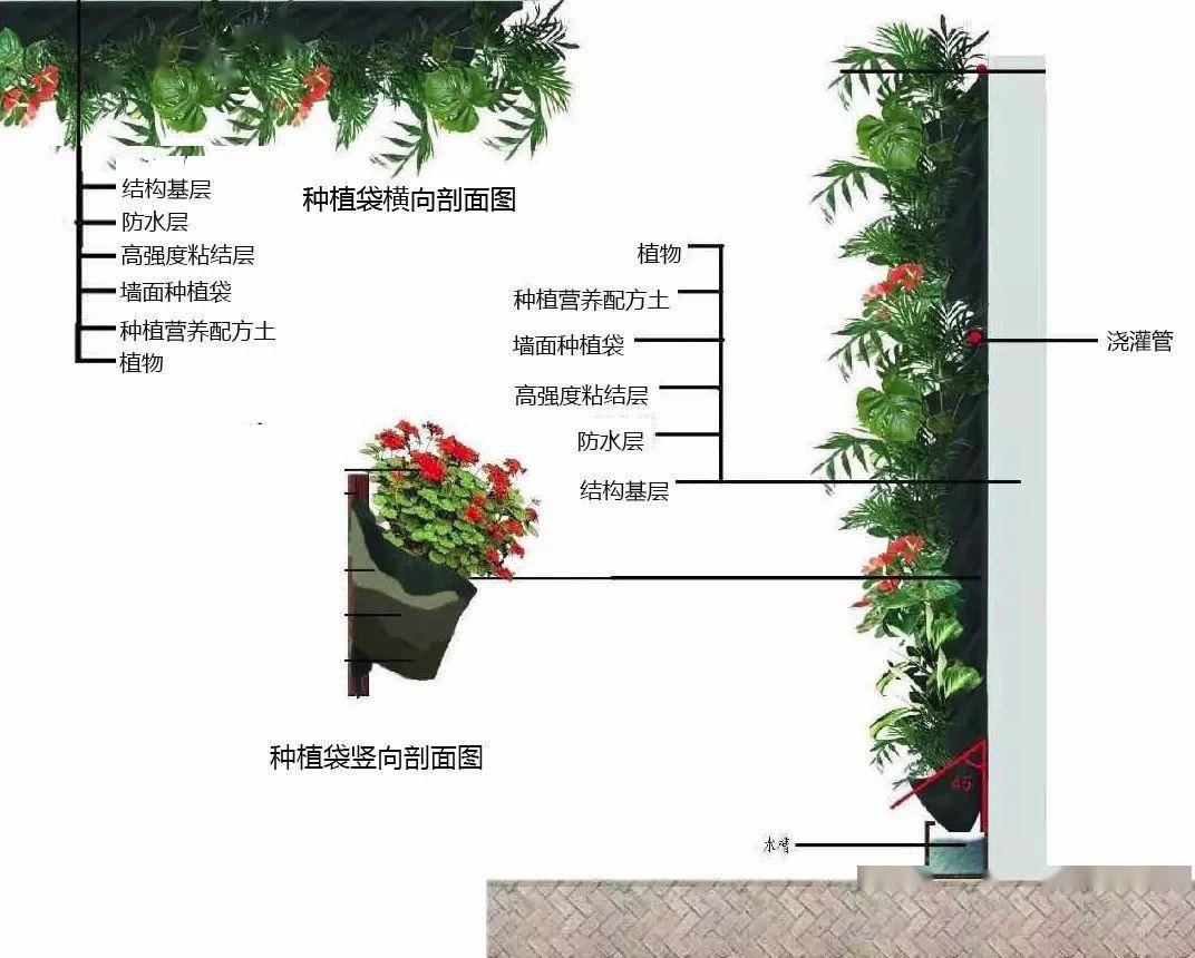 绿植墙剖面图03注意事项1,设置绿植墙前,要先考虑墙体的承重能力.