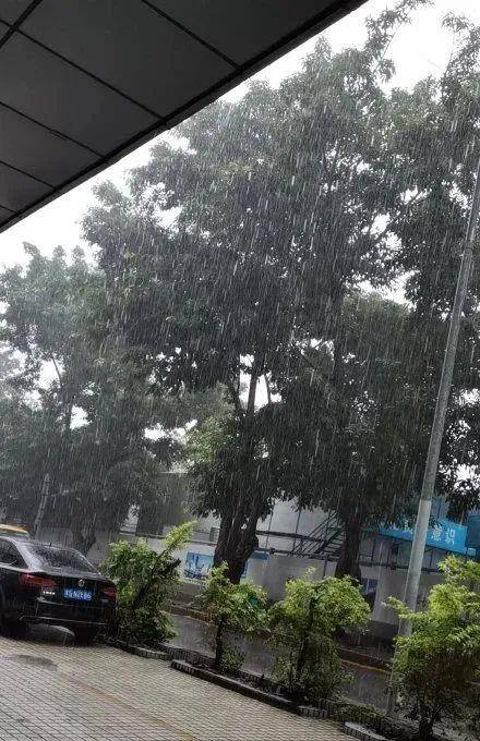 农村下大雨的照片图片