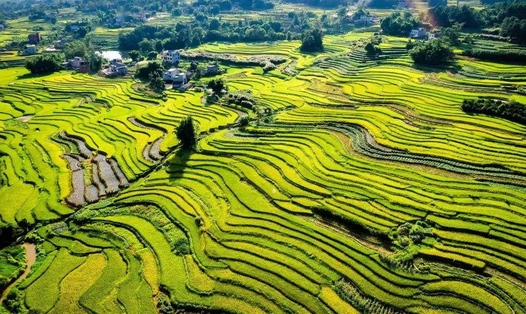 双塘梯田位于长江之滨的四川省泸县太伏镇渔湾村.