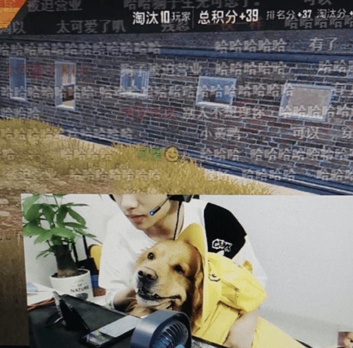 晚玉成六一活动最大赢家,只因有一个得力帮手,不求人羡慕不来