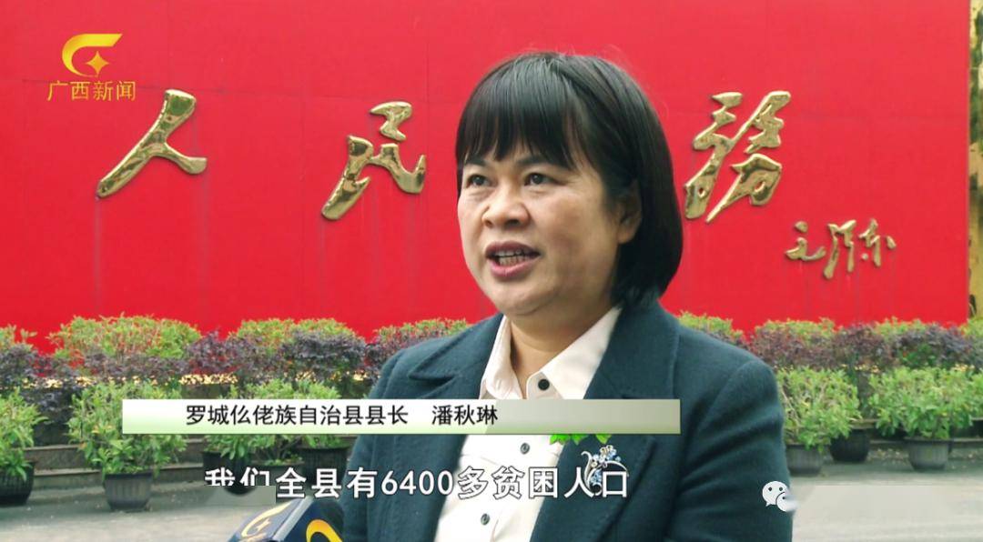 罗城仫佬族自治县县长 潘秋琳:我们全县有6400多贫困人口参与了毛葡萄