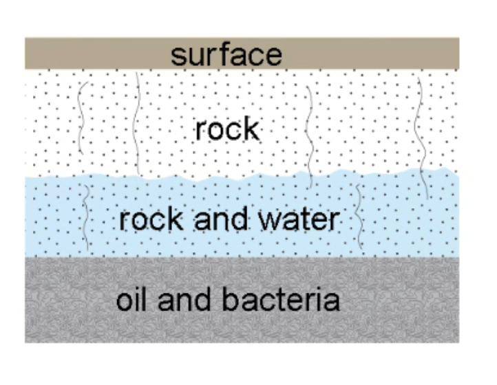 part of the limestone rock layer is permeated by water from