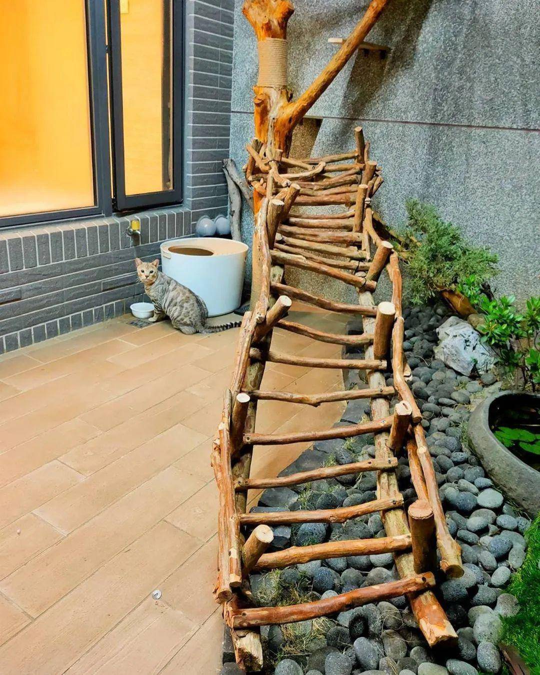 在家无聊给猫造了座园林式豪宅,完成后,网友:想去你家当猫!