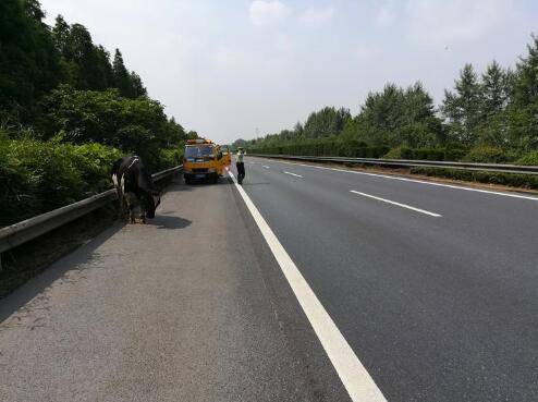 高速交警嘉兴支队二大队民警王国海在巡逻时发现,在g1522常台高速公路