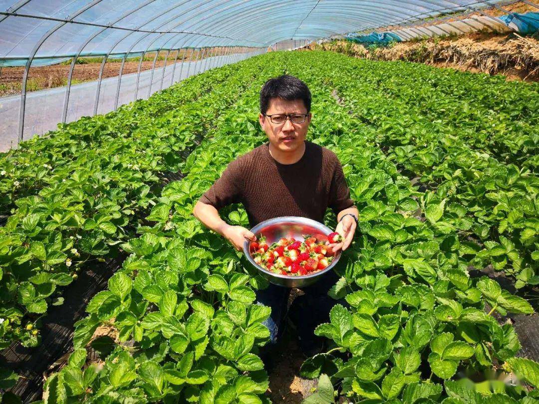 【扶贫·项目】上山 下河 品地果
