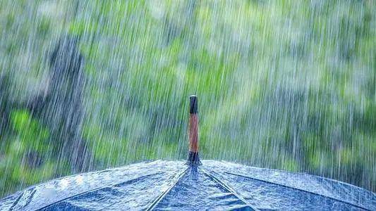 老年人献血可降血脂刮风下雨加速新冠病毒传播真相是