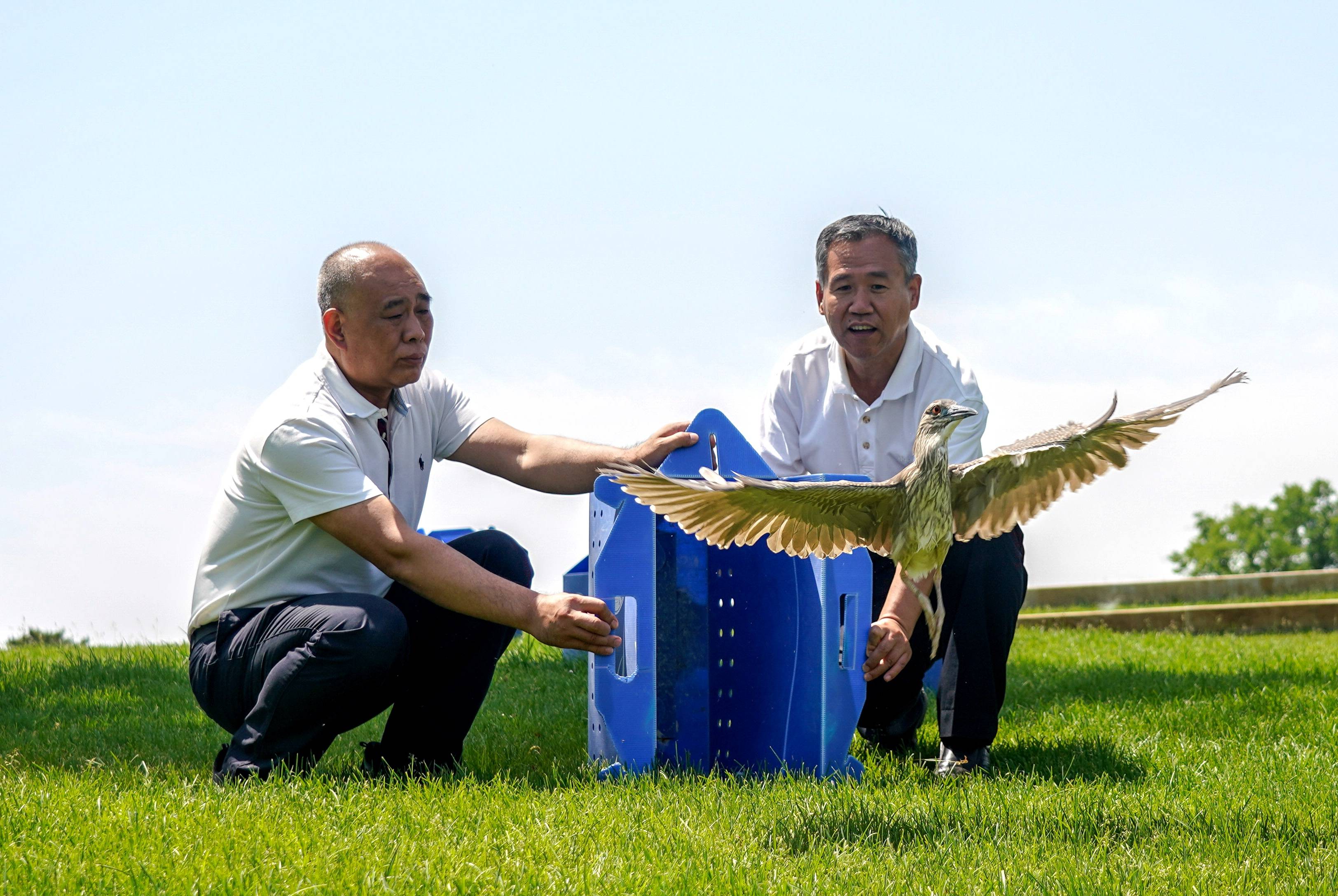 北京實施史上最嚴野生動物保護法規保動物安居