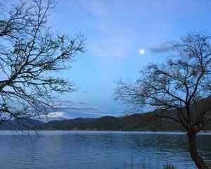 玛法达狮子座21年6月运势大全 方面