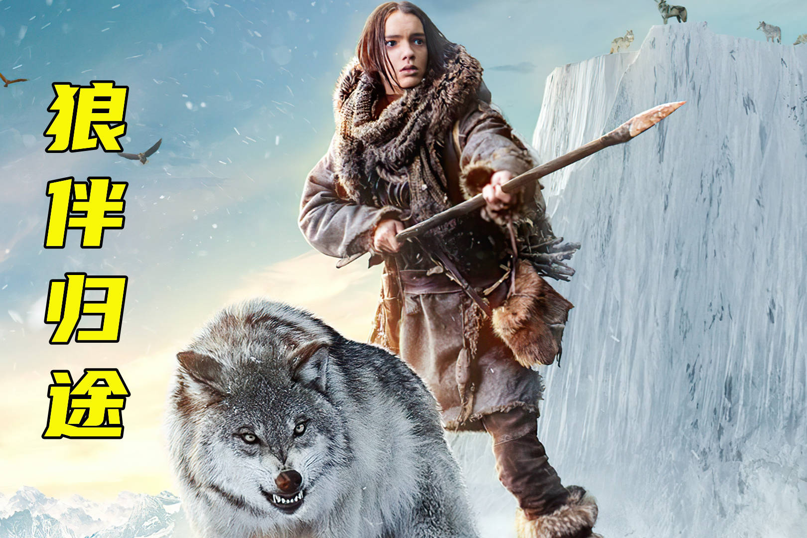 两万前人类驯服野狼一起荒野求生狼伴归途