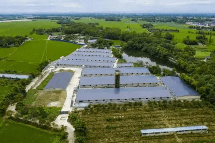 农牧业智能化系统网络监控系统智慧饲养环境分析检验动物实时监控