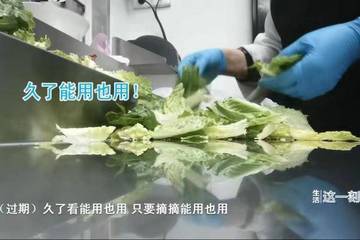 网红西餐厅蓝蛙被曝后厨乱象上热搜 市场监管局