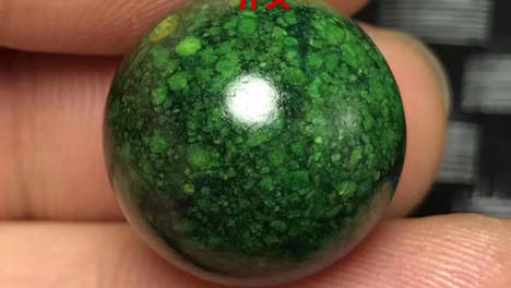 虬角真假对比度图 新手怎么鉴别虬角真假市面上假的虬角很多,一不小心