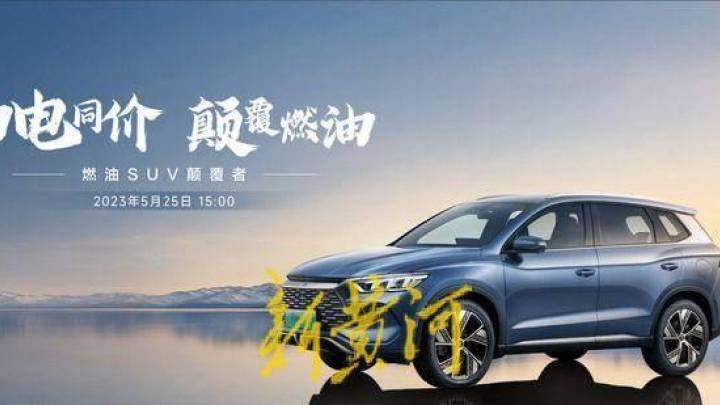 长城汽车、比亚迪股价双双下跌，你觉得谁的损失更大？