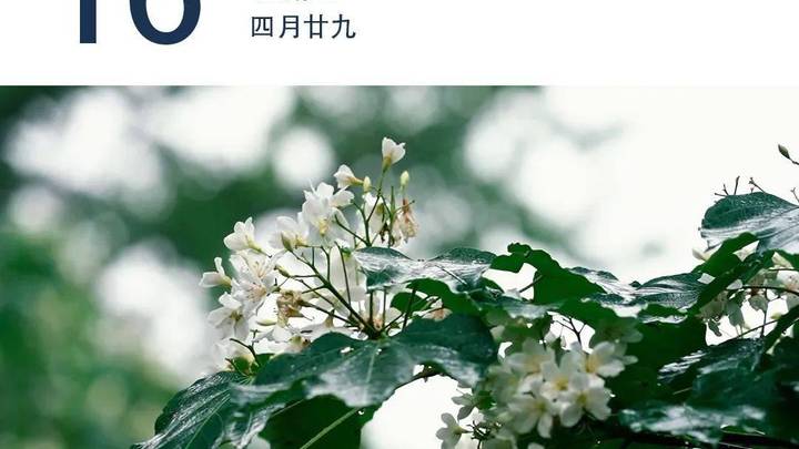 幼儿园保教费标准拟调整，你支持吗？