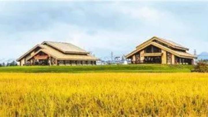 从一粒米感受文化中国，你喜欢吃稻米吗？