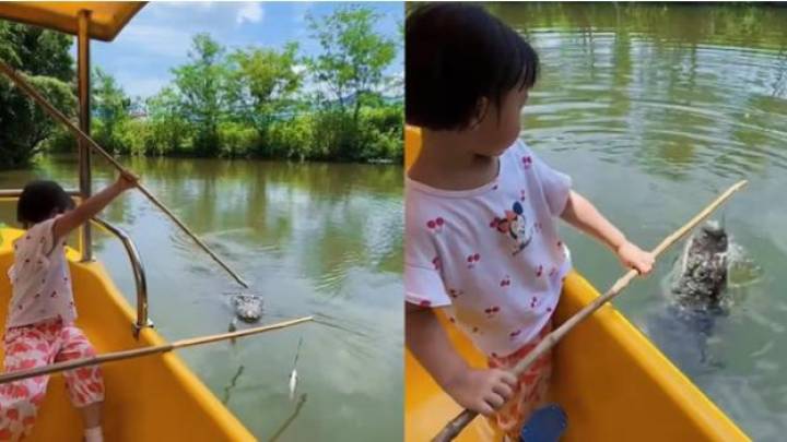 南京一动物园推出钓鳄鱼互动项目，你觉得有必要吗？
