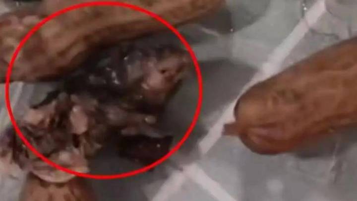 女子疑在水煮花生中吃出鼠头，涉事熟食店应该被查封吗？