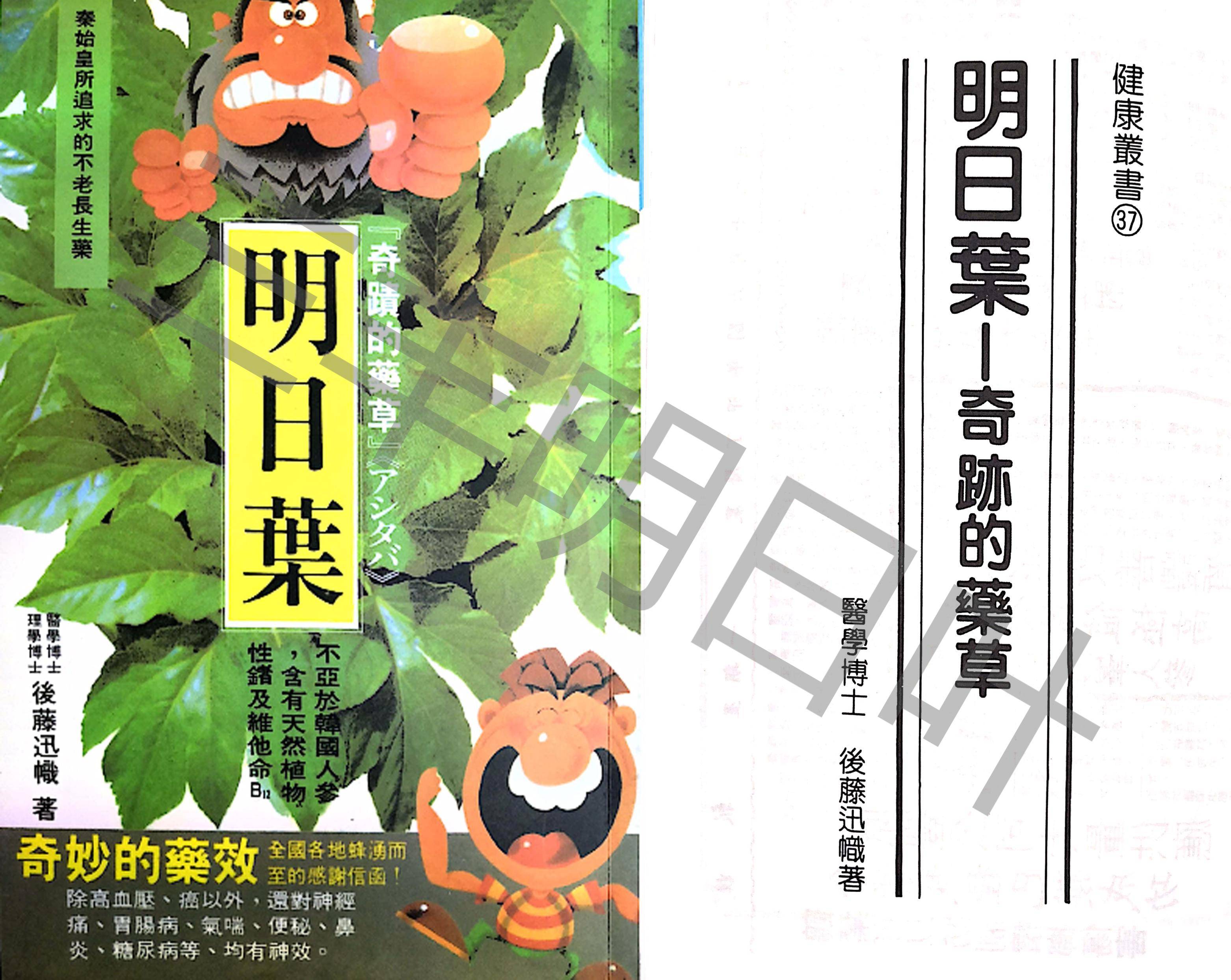 明日叶是一种草本植物具有400多年的药草食用历史记载