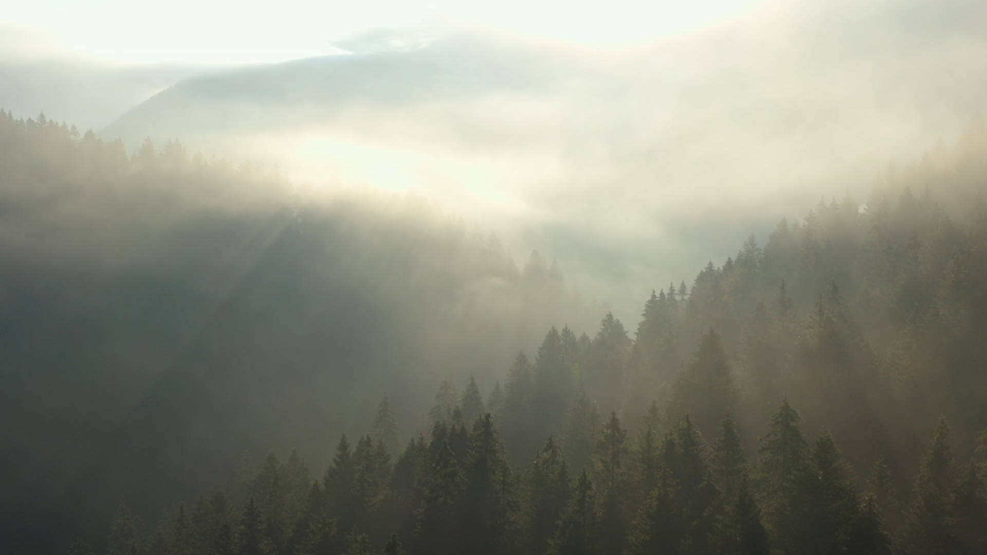 PIAGET��������Altiplano���鳬��ϵ��Ultimate Concept�ر�����