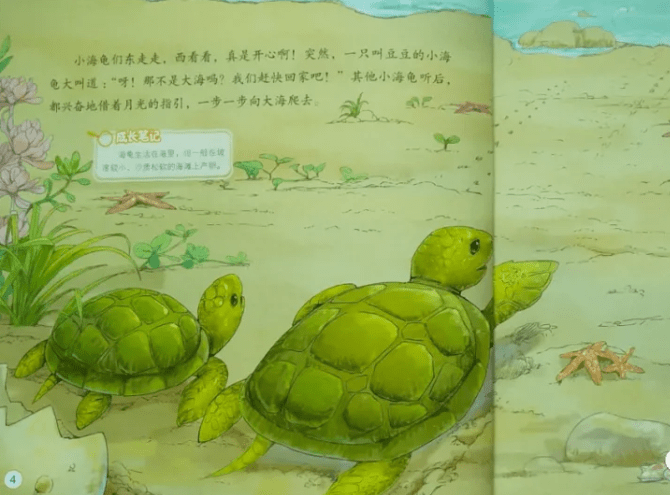 儿童睡前故事《小海龟历险记》绘本故事分享