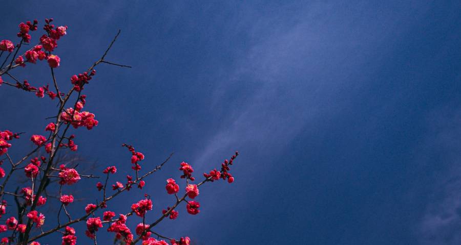 从彩电逆势下跌看家电硬件困境：一个时代结束了！-家电圈官网