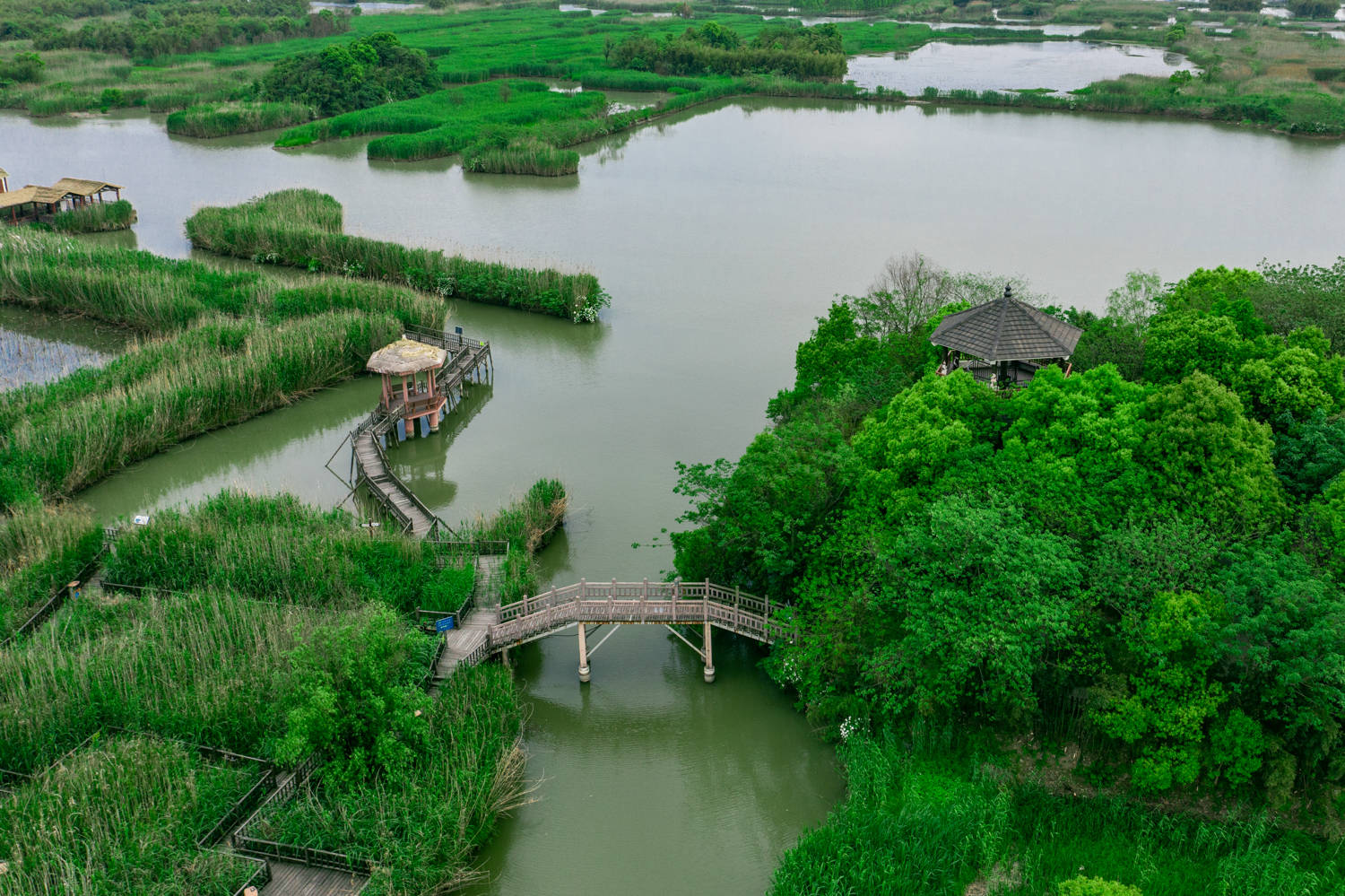 来中国最美湿地下渚湖,距离杭州约1小时车程