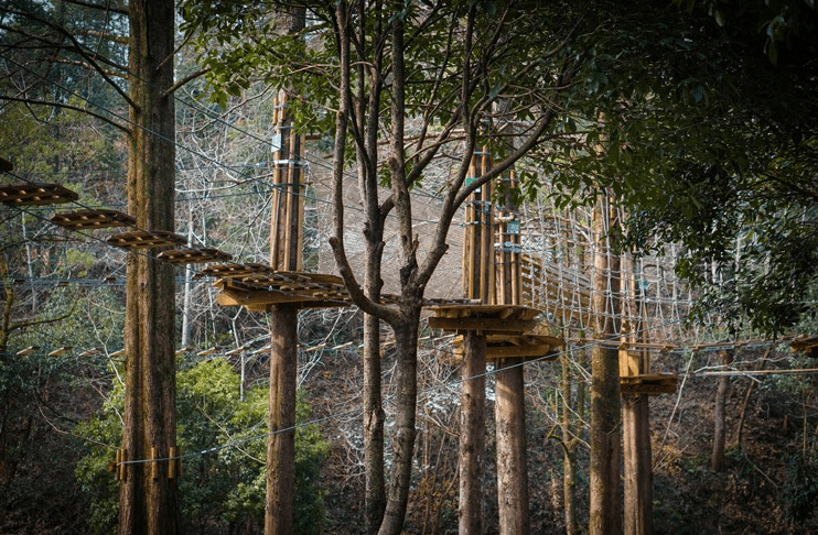 空中荡木桥对儿童有哪些好处