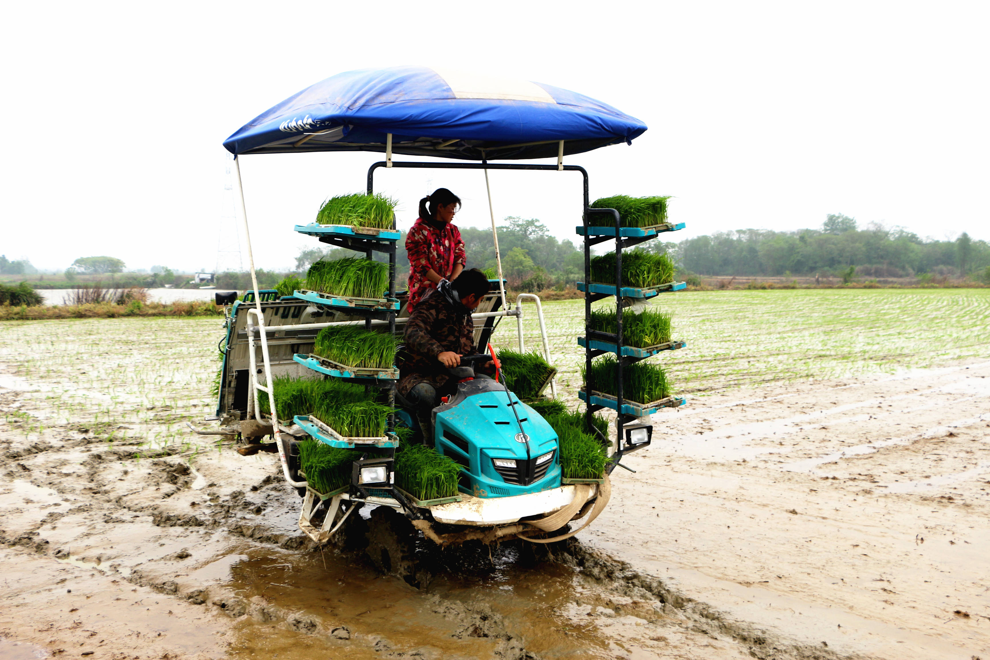 如今他家里增添的大型收割机,旋耕机,拖拉机,插秧机,稻谷烘干机等