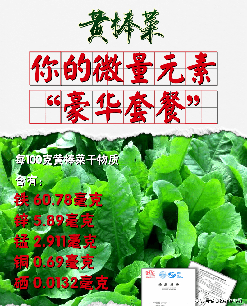34d0719395604f09ade069370c192b25.png
