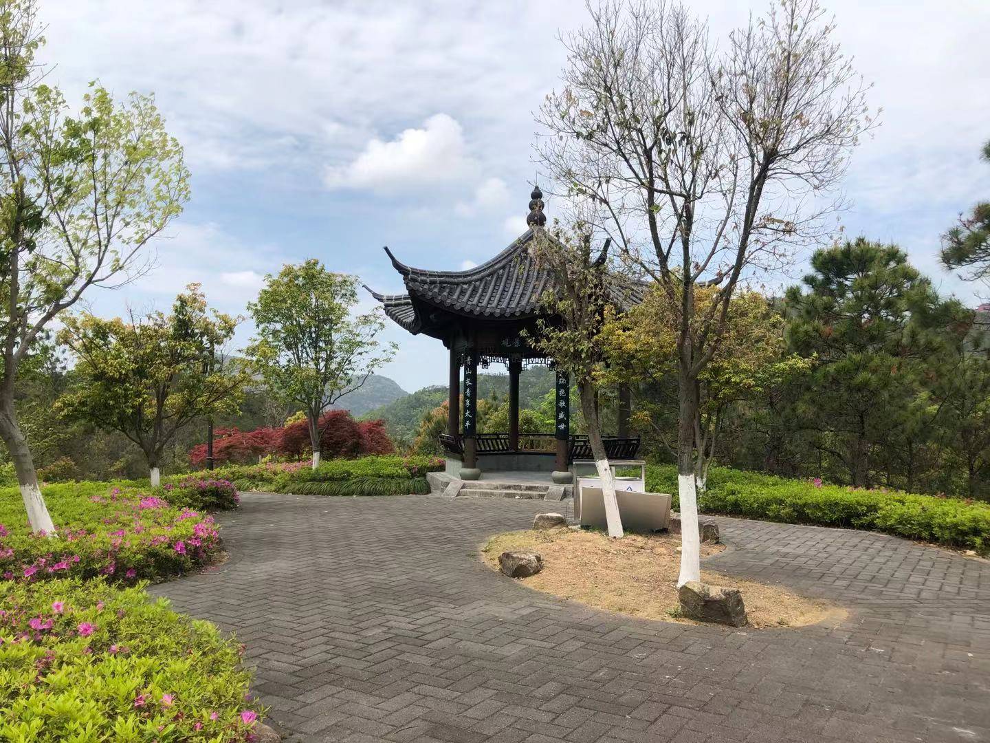 温岭植物园全新亮相,一片绚烂多彩的枫叶!_建设