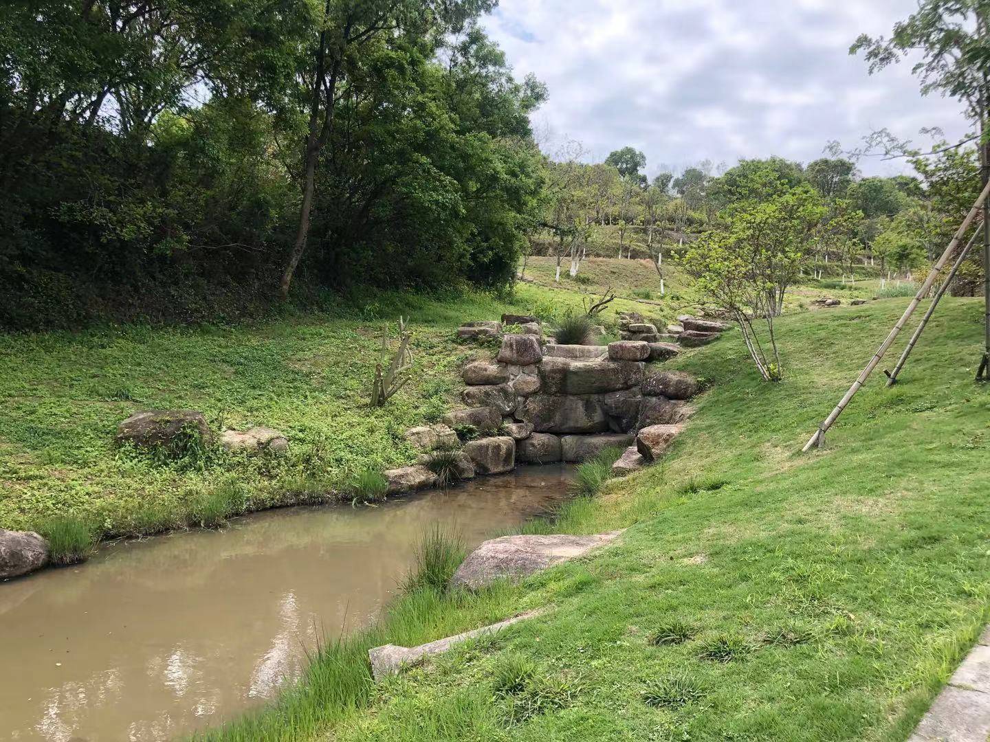 温岭植物园全新亮相,一片绚烂多彩的枫叶!_建设