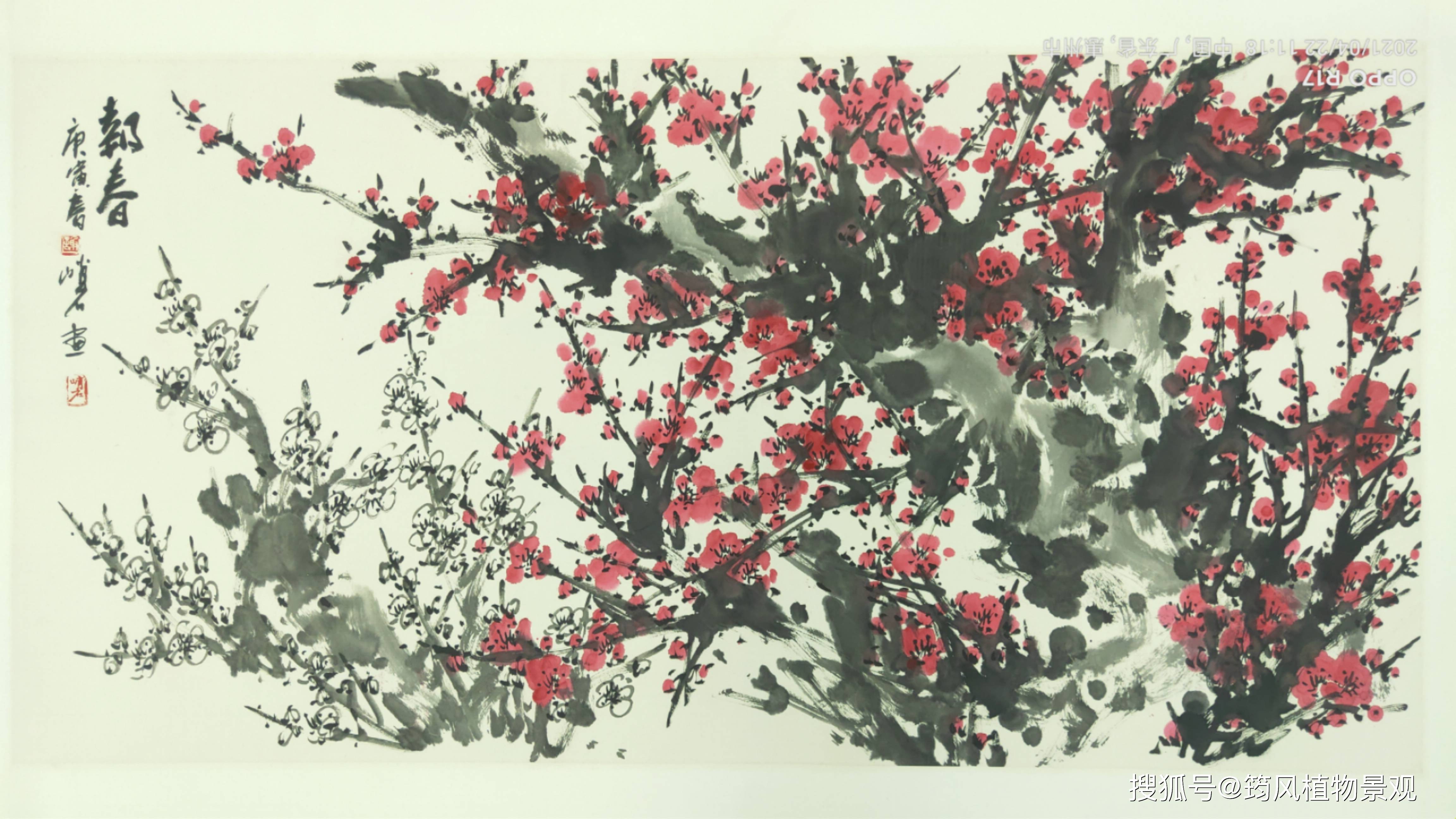 翰墨飘香满惠州谢峭石梅花国画作品展邀你共赏水墨梅花之美