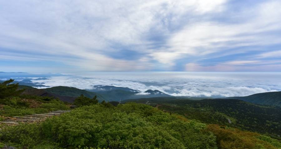 今年家电业遭遇“新品荒”的真相-家电圈官网